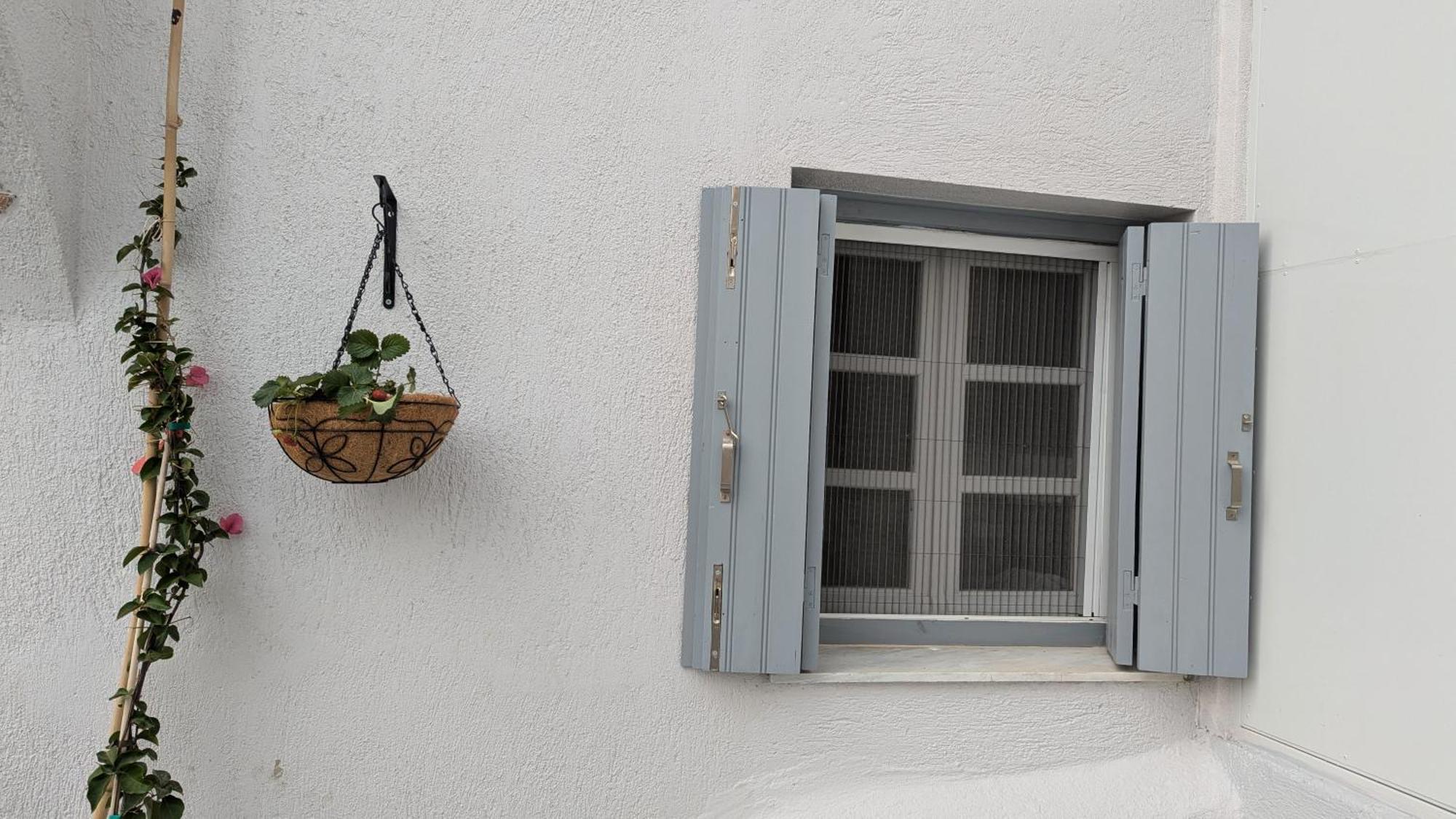 The Botanist Guesthouse Skopelos Exterior foto