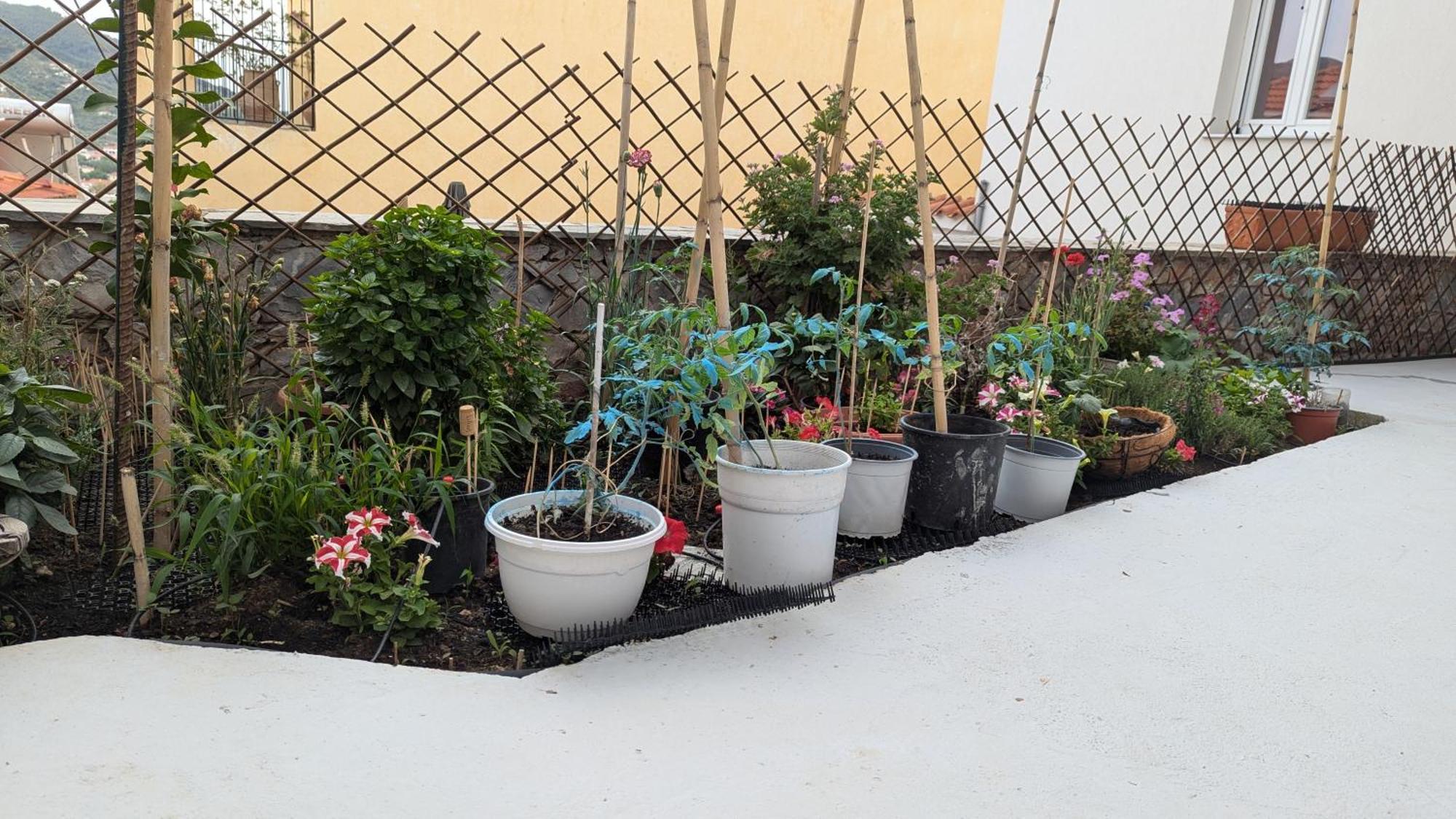 The Botanist Guesthouse Skopelos Exterior foto