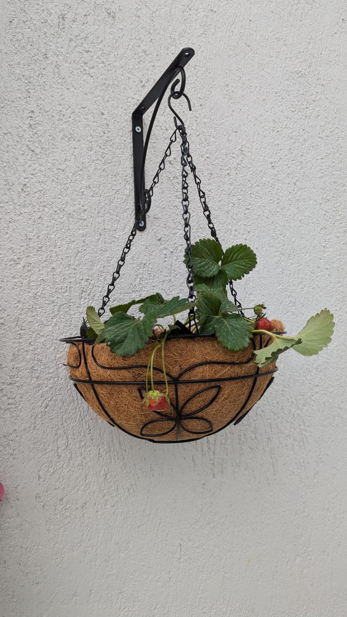 The Botanist Guesthouse Skopelos Exterior foto