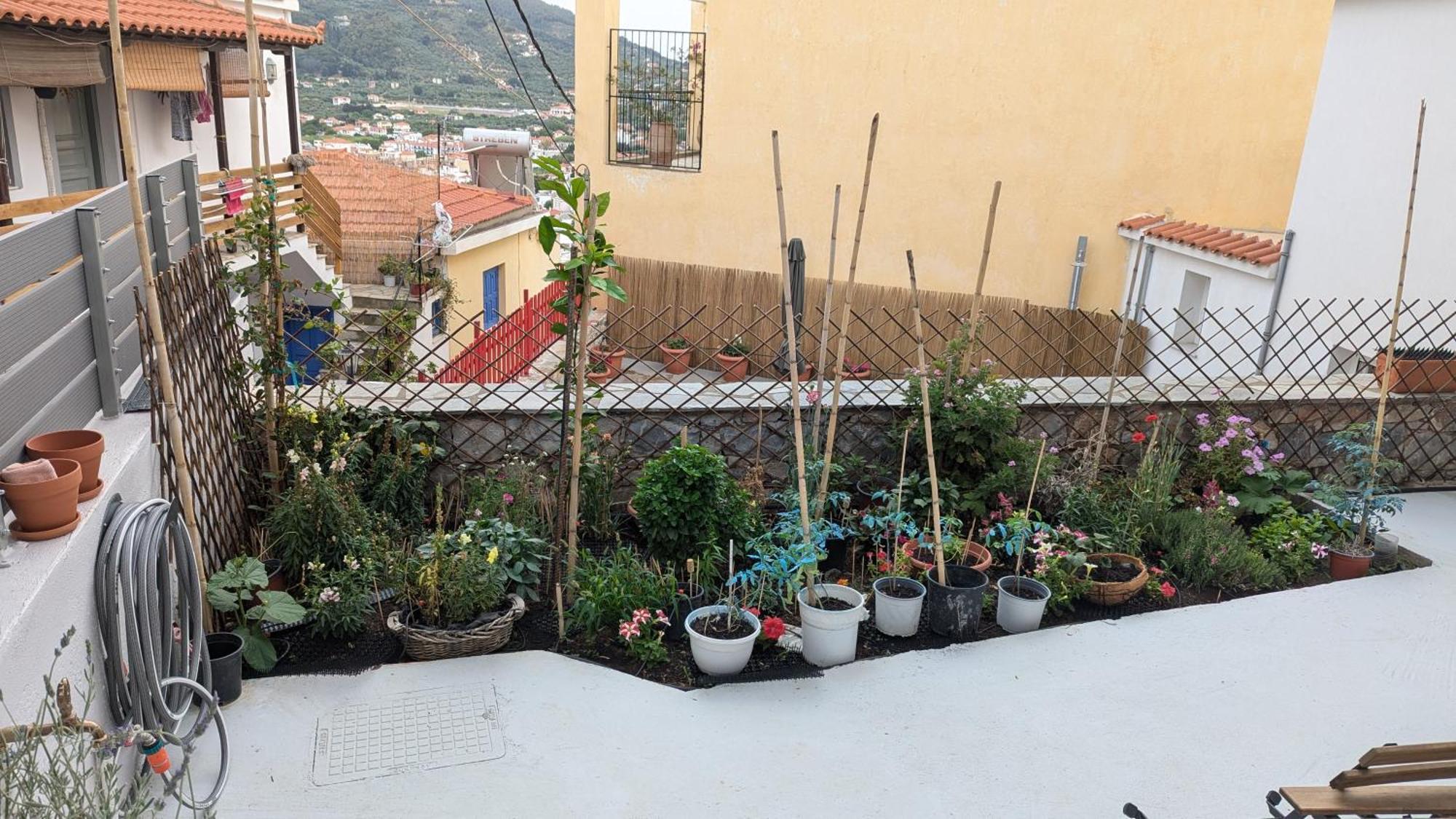 The Botanist Guesthouse Skopelos Exterior foto