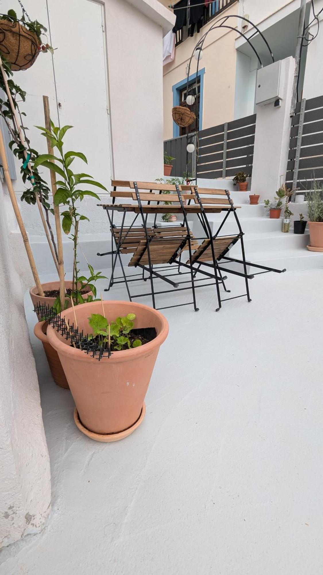 The Botanist Guesthouse Skopelos Exterior foto